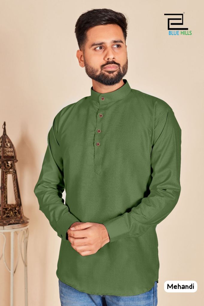 Azlan Cotton Straight Men's Kurta - Blue & Green - House of – House of  Chikankari