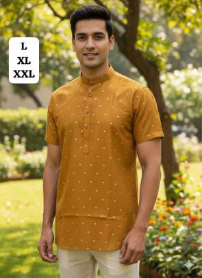 Casual Wear Kurta Men