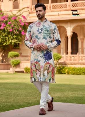 Function Wear Kurta
