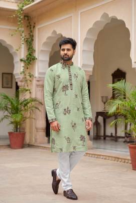 Function wear kurta set
