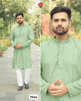 Export Quality Chikankari Kurta